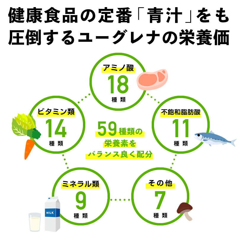 史上最も激安 バイオザイム 6個セット 健康 ミドリムシ ピタミン DHA EPA ミネラル アミノ酸 パラミロン fucoa.cl