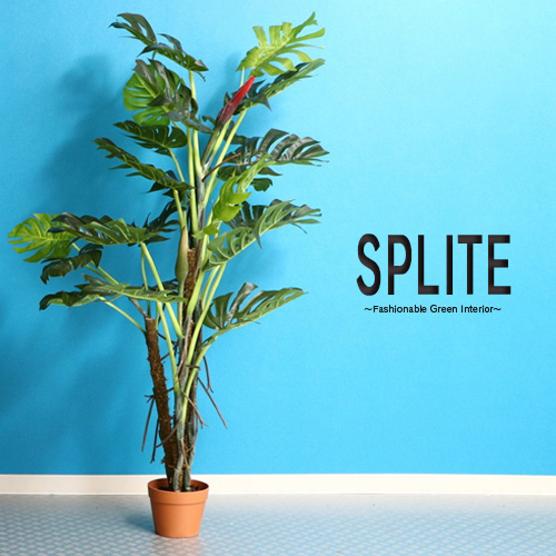 楽天市場 人工観葉植物 H140 Splite スプリット インテリア 造花 観葉植物 フェイクグリーン インテリアグリーン グリーン 男前 ギフト 目隠し 仕切り 開店祝い 新築祝い プレゼント 幅80 ブラウンポット かわいい 大きい おしゃれ 送料無料 Ikikagu イキカグ