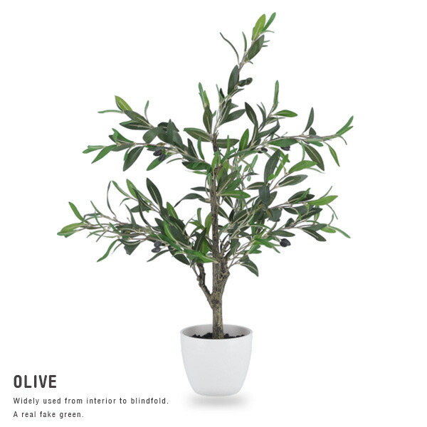 楽天市場 人工観葉植物 H Olive オリーブ インテリア 造花 フェイクグリーン 観葉植物 インテリアグリーン グリーン ギフト 目隠し 仕切り 開店祝い 新築祝い プレゼント 幅40 ポット おしゃれ 送料無料 Ikikagu イキカグ