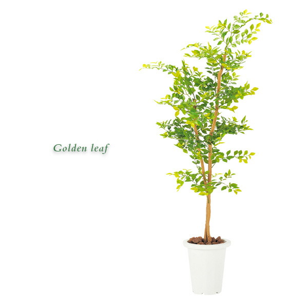 光触媒　人工観葉植物　ウォールグリーン　ゴールデンリーフ1.25m 光触媒 人工観葉植物 ウォールグリーン ゴールデンリーフ1.25m 【公式