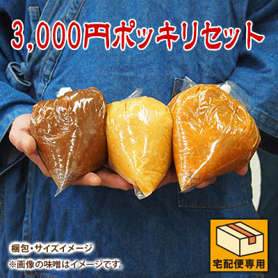 3,000円ポッキリセット
