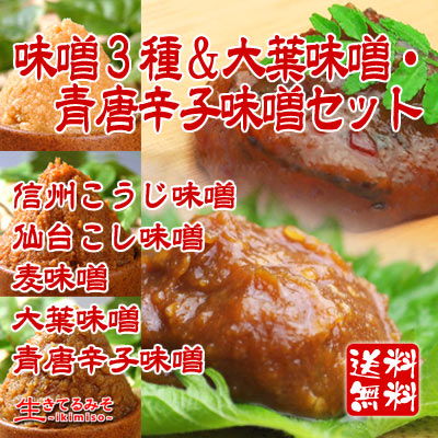 味噌3種 大葉味噌 青唐辛子味噌セット 送料無料 信州こうじ味噌 仙台こし味噌 麦みそ 大葉味噌 青唐辛子味噌 食品 調味料 みそ セット 詰め合わせ 赤味噌 白味噌 セット Educaps Com Br