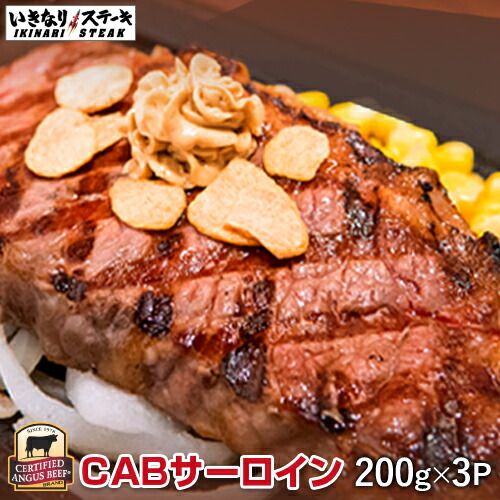 楽天市場 いきなりステーキ ワイルドハンバーグ300g 3個 オニオンソース30g 6袋 いきなり ステーキ 300g 熨斗対応 ビーフ ハンバーグ 牛 肉 お肉 肉汁 ギフト お中元 内祝い グルメ 豪華 ギフト お中元 いきなり ステーキ 楽天市場店