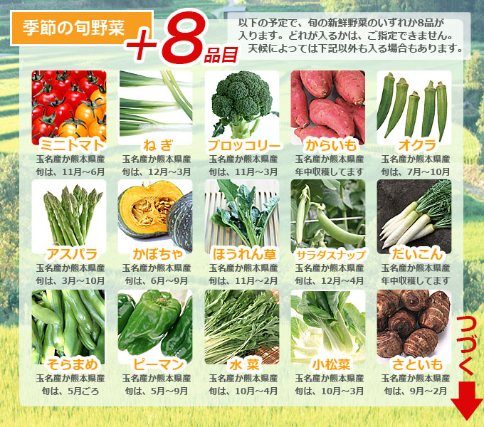 楽天市場 送料無料 九州の熊本のjaたまなの野菜セット１２ きらめき野菜の玉手箱 ｉきらめきたまな