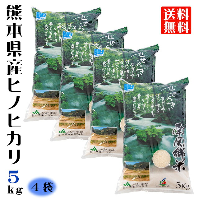 令和7年産 熊本県産 ヒノヒカリ 精米 5kg&times;4袋 20kg JA たまな 南関郷 せせらぎ米 産地直送 JA直送 熊本のお米 玉名 三加和 南関 菊水｜熊本 JAたまな店