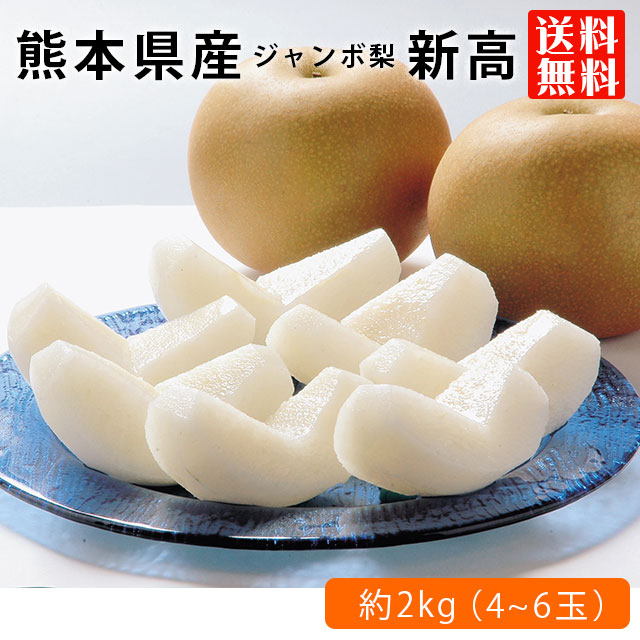 【JA直送】熊本県産 ジャンボ 梨「新高」化粧箱（約3kg） 荒尾梨 贈答用