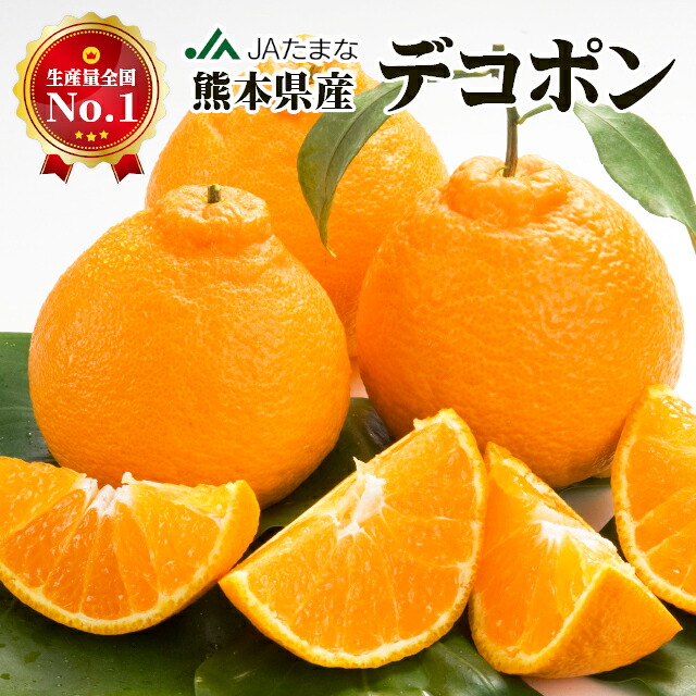 楽天市場】【もうすぐ終売】 熊本県産 デコポン JAたまな 産地直送