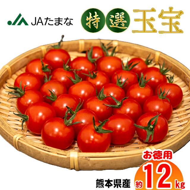 【JA直送】特選ミニトマト玉宝 3kg×４箱  箱売り  産地直送  業務用 飲食店向 シェア プチトマト お弁当の彩り ヘルシーおやつ フルーツ のように 甘い 高リコピン 美容 1kg 1.5kg 3kg 10kg 贈答 ギフト ドライトマト 送料無料