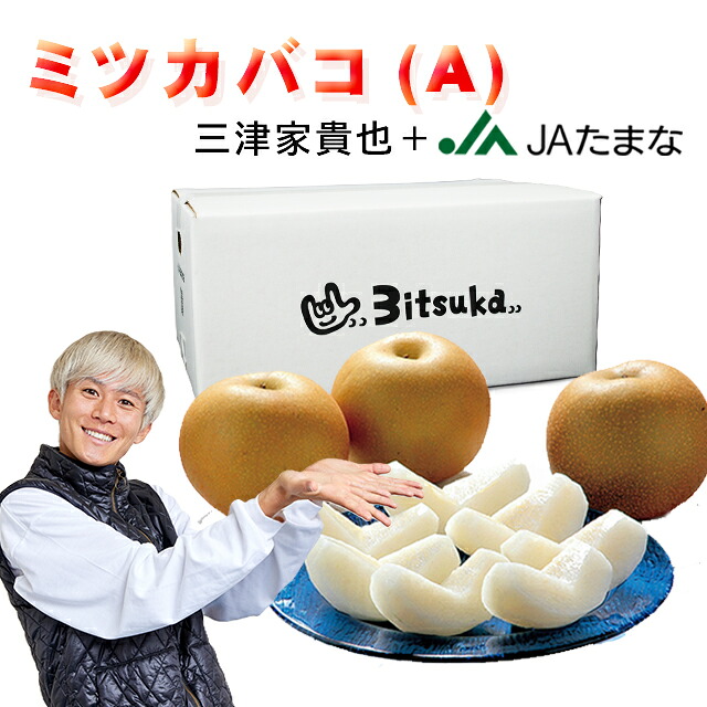 【楽天市場】梨のミツカバコ（A） 梨のみ【ランニング系インフルエンサー三津家貴也氏とJAたまなのコラボ商品】：熊本 JAたまな楽天市場店