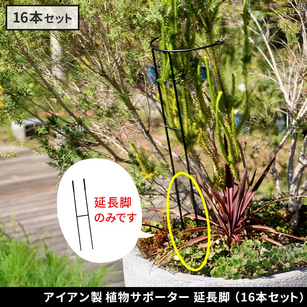 アイアン製植物サポーター 延長脚 16本セット IF-N0051-16P 脚のみ 高さ47cm ハーフリング 倒れ防止 広がり抑制 スチール 鉄製 支柱 園芸 植物サポート フラワーサポート 菜園 花壇