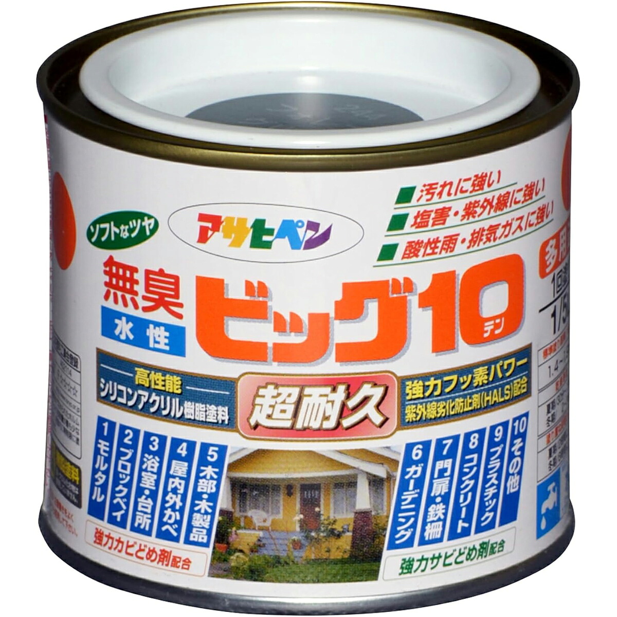 アサヒペン 水溶性ビッグ10多途1/5L244フォレストグリーン×10個書き割り DIY えの具 取りつくろう リフォーム 身寄り用 室内 屋内 露天 労働者階級操作手順 一般受け 定番 日曜日飛騨工 検査と修理 取りつくろう うつり変わり 張り替え 塗り替え
