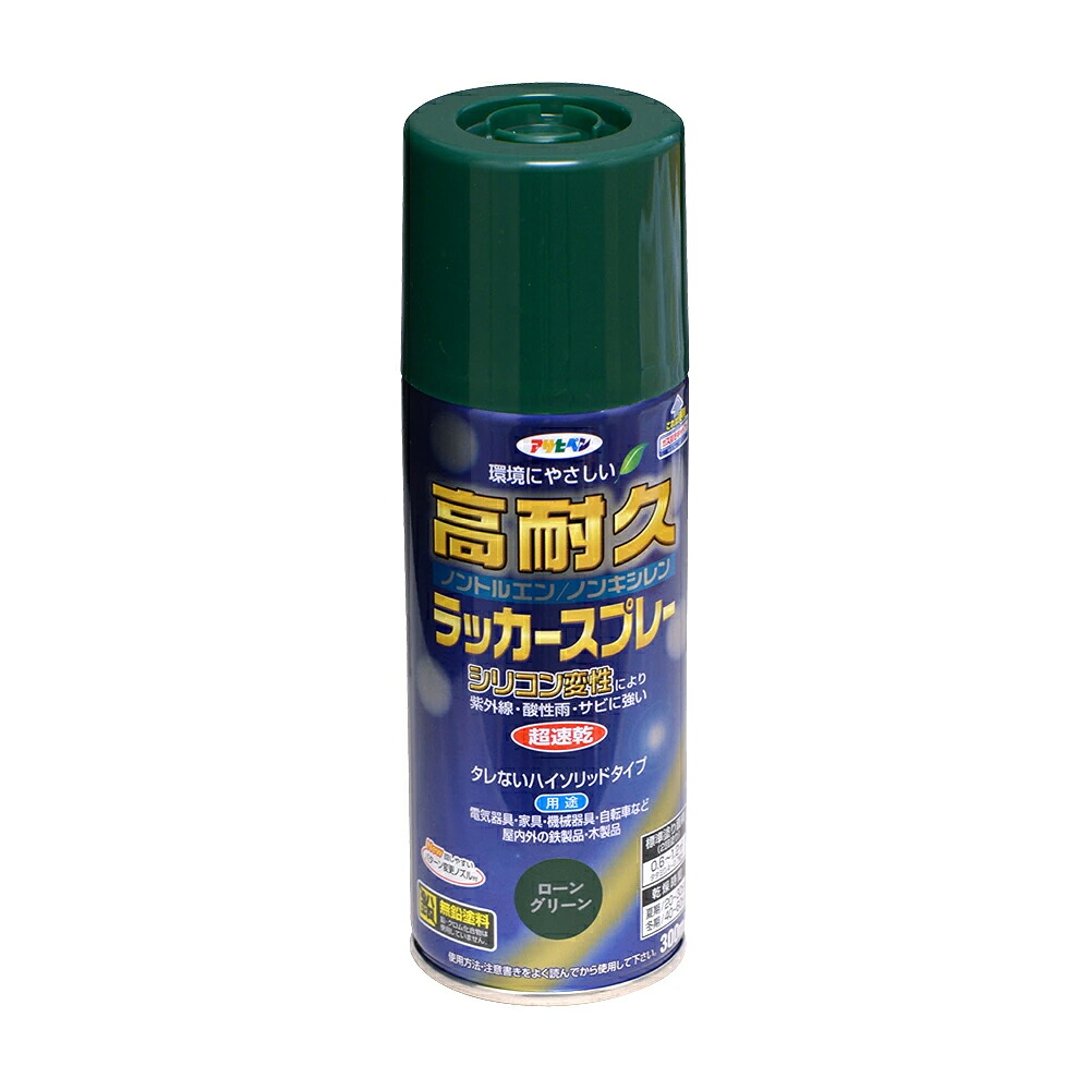 アサヒペン 高耐久漆吹きつける 300ml 貸し付け金緑であること×10個 DIY 絵の具 取りつくろう リフォーム 身寄り用 室内 屋内 室外 労働者階級遣りかた 一般受け 定番 日曜日飛騨工 検査と修理 取りつくろう うつり変わり 張り替え 塗り替え