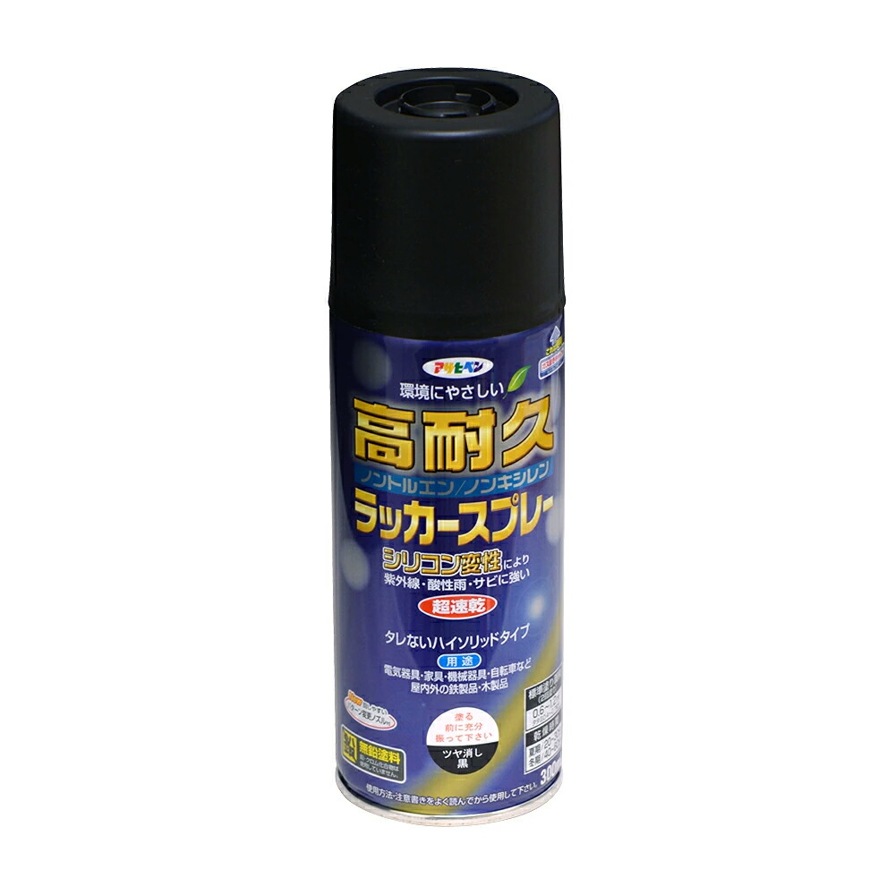アサヒペン 高耐久漆吹きつける 300ml ツヤ消し黒×10個 DIY えの具 取りつくろう リフォーム 身寄り用 室内 屋内 室外 労働者階級遣りくち 一般受け 定番 日曜日宮大工 検査と修理 取りつくろう うつり変わり 張り替え 塗り替え