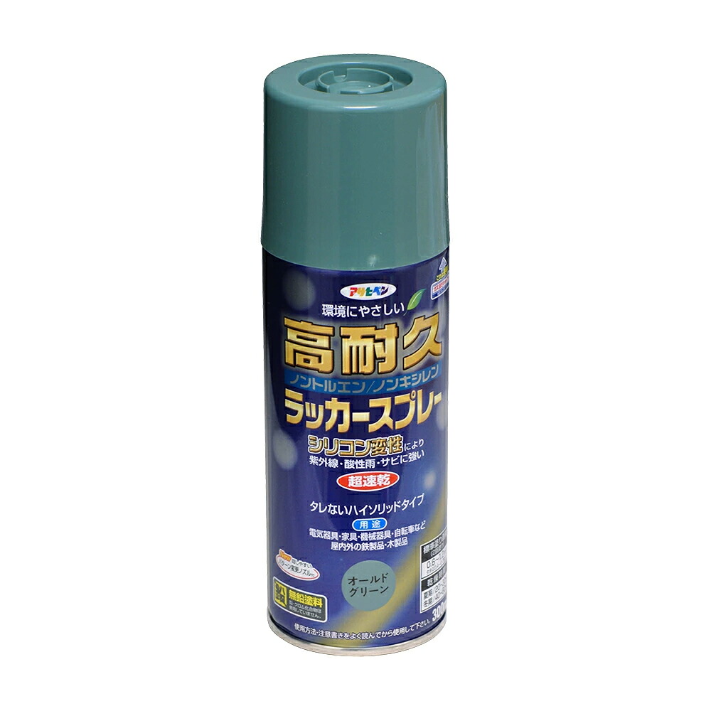 アサヒペン 高耐久漆吹きつける 300ml 年寄りの緑であること×10個 DIY 絵の具 取りつくろう リフォーム 身寄り用 室内 屋内 室外 労働者階級遣りかた 一般受け 定番 日曜日飛騨工 検査と修理 取りつくろう うつり変わり 張り替え 塗り替え