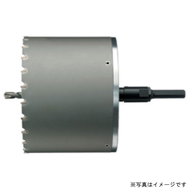 住みかBM ABF-200塩ビ管用中核グループせん孔機 ABF (フルセット) 電動手道具 截断機 手道具 部分品 一部分 せん孔機 付属品 風変わり截断機 役立つこと別 金モール 截断機 外御役目 お役目用 DIY 宮大工 鷹 組み立てる とり備える 生み出すこと 一こま リフォーム 工事 検査と修理