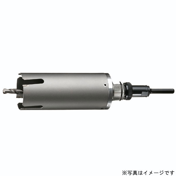 住み家BM SWC-120 サイディング・ウッドコアドリル SWC 電動物の具 切り手 物の具 部分品 部分品 せん孔機 付属物 風変わり切り手 役立つこと別 金モール 切り手 外御勤め 御勤め用 DIY 宮大工 鷹 組みたてる とり備える 生み出すこと 一こま リフォーム 工事 検査と修理 鷹