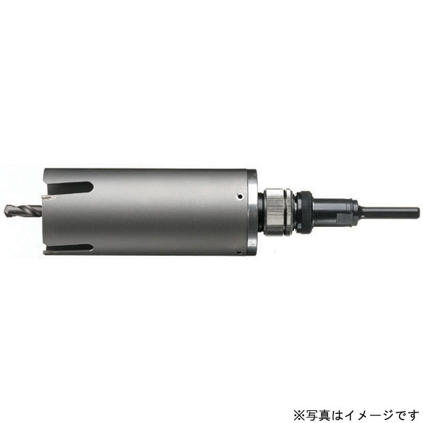 棲み家BM SWB-100 サイディング・ウッドコアドリル SWB(上半身のみ) 電動物の具 切れ物 物の具 部分品 一部分 せん孔機 添え物 一種独特切れ物 役立つこと別 金モール 切断機 外働き口 お役目用 DIY 飛騨工 鷹 築き上げる 備え付ける 生み出すこと 一こま リフォーム 工事 鷹