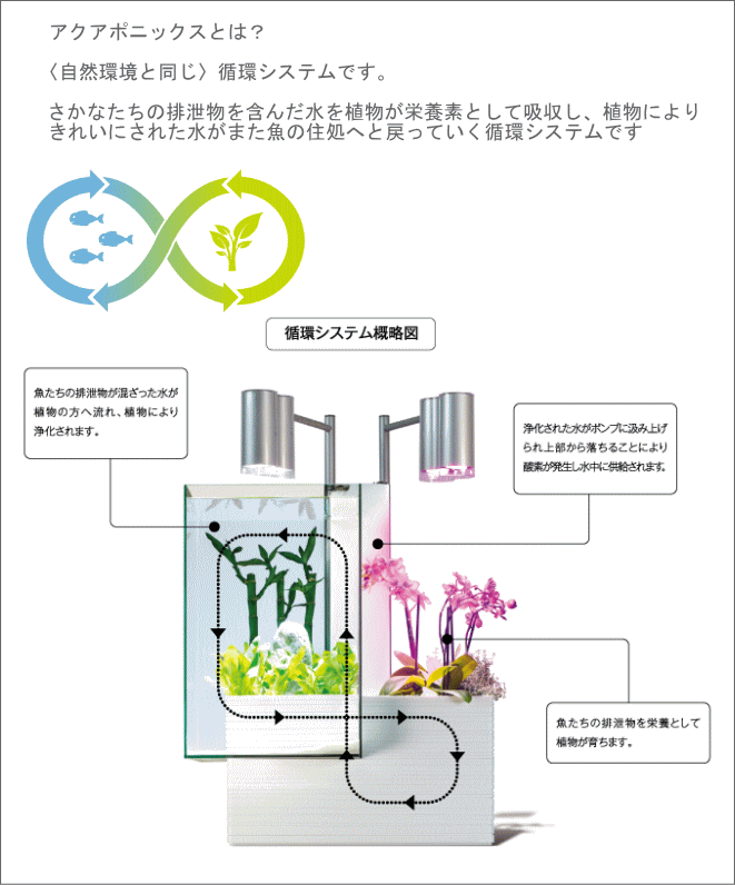 楽天市場 家庭用 アクアポニックス ブリオ 本体 Brio 水槽 セット インテリア 循環システム ポンプ お洒落 熱帯魚 インテリア 雑貨 憩いの店オアシス