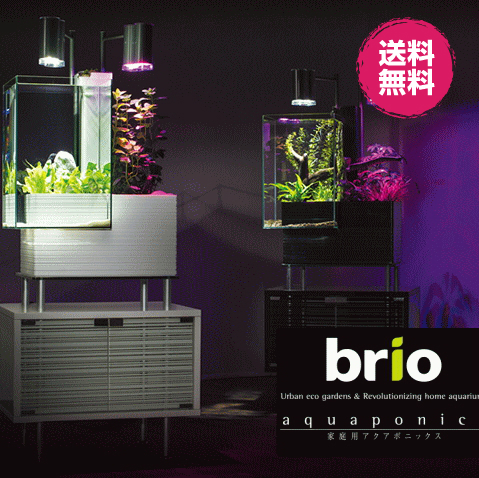 家庭用 アクアポニックス ブリオ 本体 Brio 水槽 セット インテリア 循環システム ポンプ お洒落 熱帯魚 Dcgroup Com