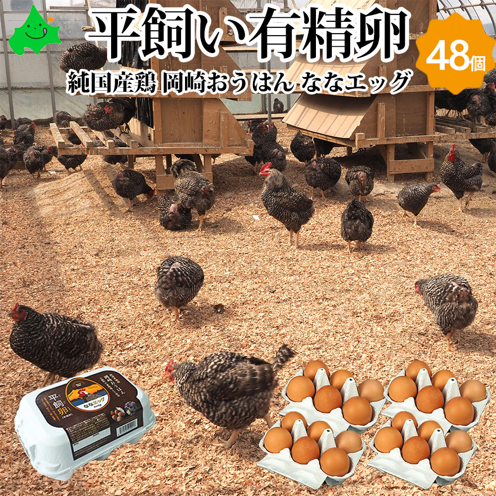 楽天市場】平飼い卵44個 (+4個保証分)計48個 ななエッグ 北海道七飯町