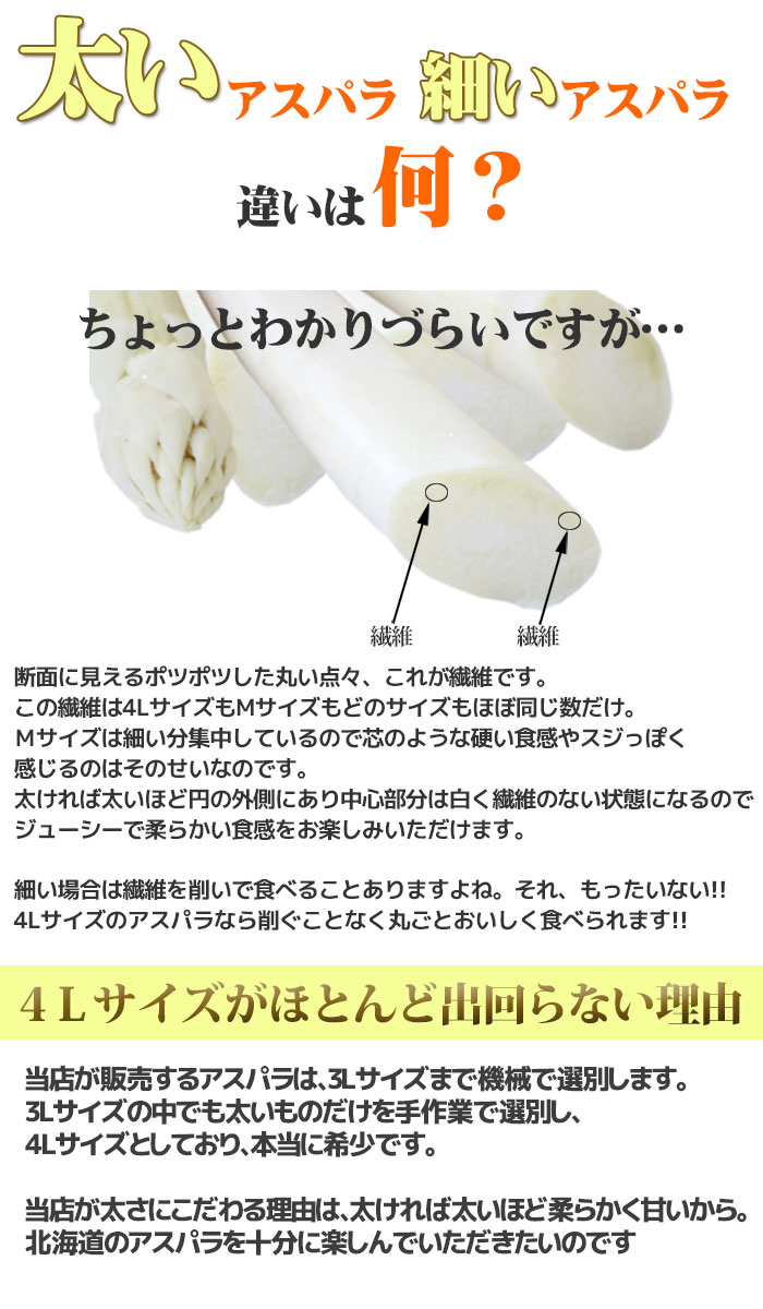 順次送届ける内辺 純白み アスパラ ギフト 北海道 4l号 2kg 1kg容物を2個まとめてお届け ありさまの超極太 ホワイトアスパラガス 在り在り高級さ 三春 制限事項 ギフト さし上げる優雅さ お取り寄せギフト 白 北海道設定 内祝い お回章 ホワイトアスパラ Cannes