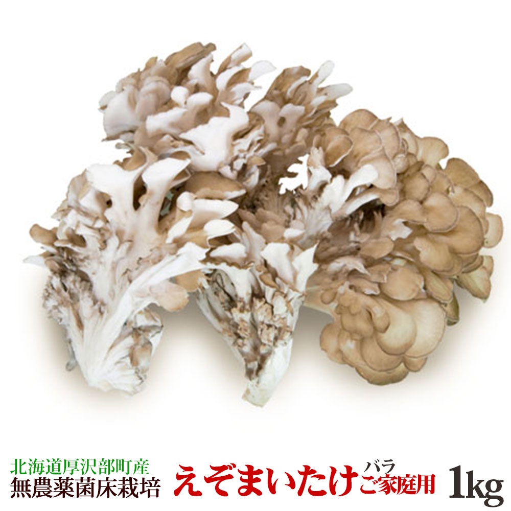 市場 乾燥まいたけ15g×2個 菌床 北海道 合計30g マイタケ 無農薬野菜 蝦夷 きのこ 野菜 キノコ 食材 北海道産 無農薬 栽培