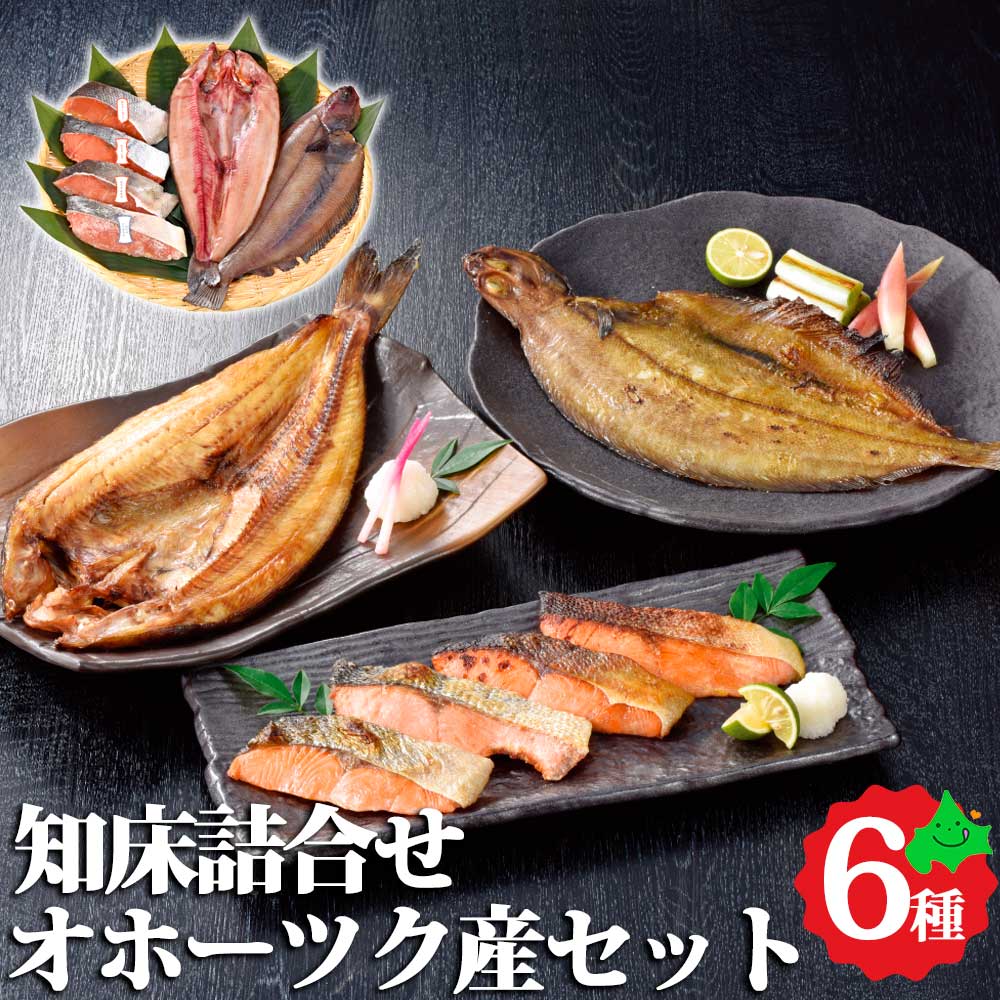 知床詰合せセット ホッケ一夜干し ナメタ鰈一夜干し 鮭切身甘口 山漬 鮭味噌漬 粕漬 お取り寄せ 北海道グルメ 母の日 ギフト プレゼント
