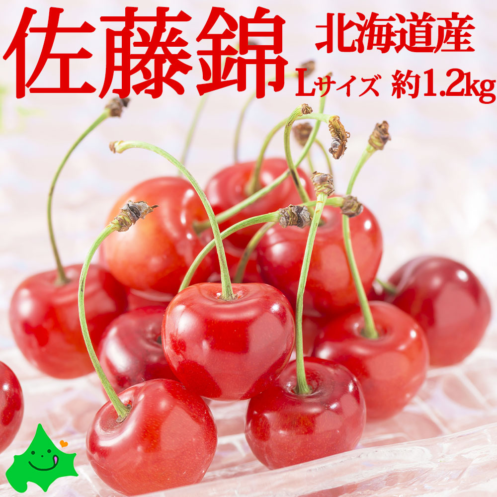 【予約販売】さくらんぼ 佐藤錦 秀品 Lサイズ 約1.2kg 北海道 仁木産 送料無料 超高級品種 北海道産 果物 北海道産 フルーツ  贈り物 お返しもの お返し物 お中元 ギフト
