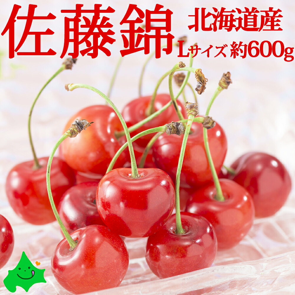 【予約販売】さくらんぼ 佐藤錦 秀品 Lサイズ 約600g 北海道 仁木産 送料無料 超高級品種 北海道産 果物 北海道産 フルーツ  贈り物 お返しもの お返し物 お中元 ギフト