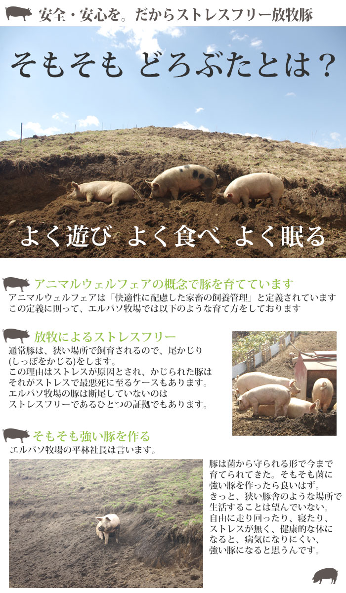 どろぶた 食い道楽 詰め合わせ 部類 腸詰め 一揃え どろ豚肉 北海道 十勝 帯広 ランチョエルパソ 獣肉 戴物 内祝 お返り事 貨物輸送無料 土地豚 どろ豚 Accesovertical Com Ec