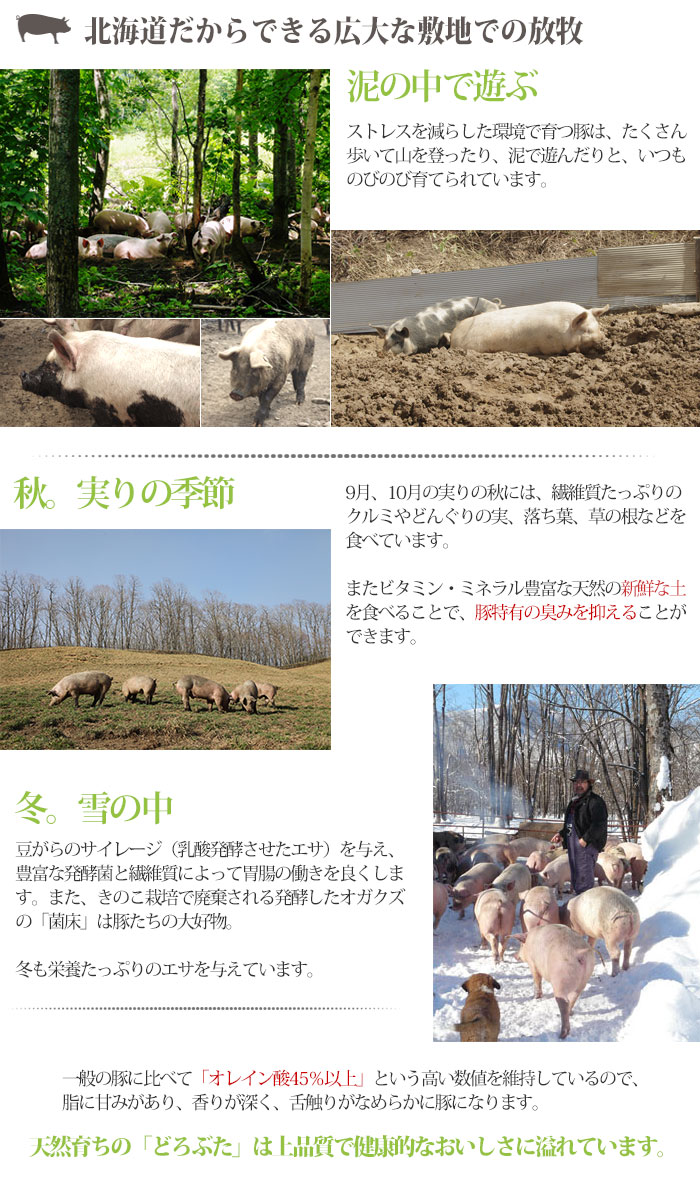 どろぶた 食い道楽 詰め合わせ 部類 腸詰め 一揃え どろ豚肉 北海道 十勝 帯広 ランチョエルパソ 獣肉 戴物 内祝 お返り事 貨物輸送無料 土地豚 どろ豚 Accesovertical Com Ec