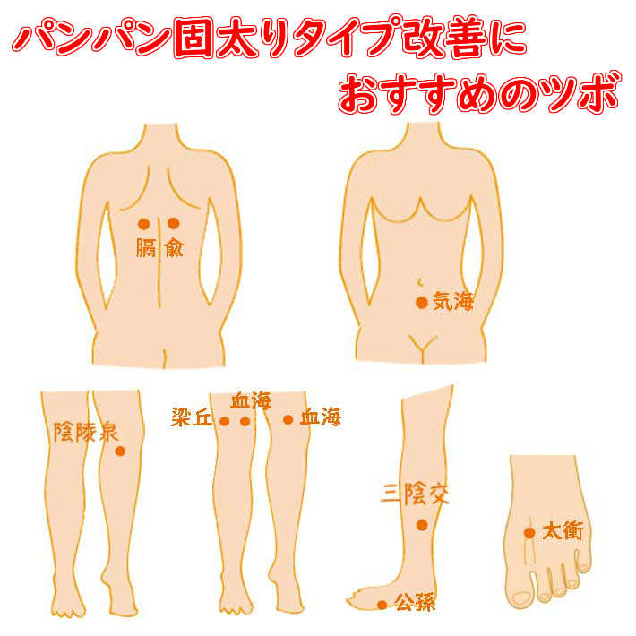 楽天市場 オススメ 健康 元気 パンパン固太りタイプ 改善セット 気滞血於 ダイエット 詰合せ 薬膳スープと薬膳茶がセット 四物湯 薬膳スープ 気血巡茶 薬膳茶 枸杞の実 新彊なつめ 薬膳食材 漢方 薬膳 ストレス イライラ 固太り 肩こり 脇腹痛 便秘 血ドロドロ 税込 送料