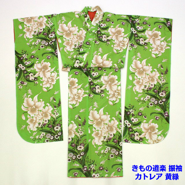 【アウトレット】 きもの道楽 振袖 カトレア 黄緑 販売 成人式 結婚式 【現品限り】｜呉服のいくみや