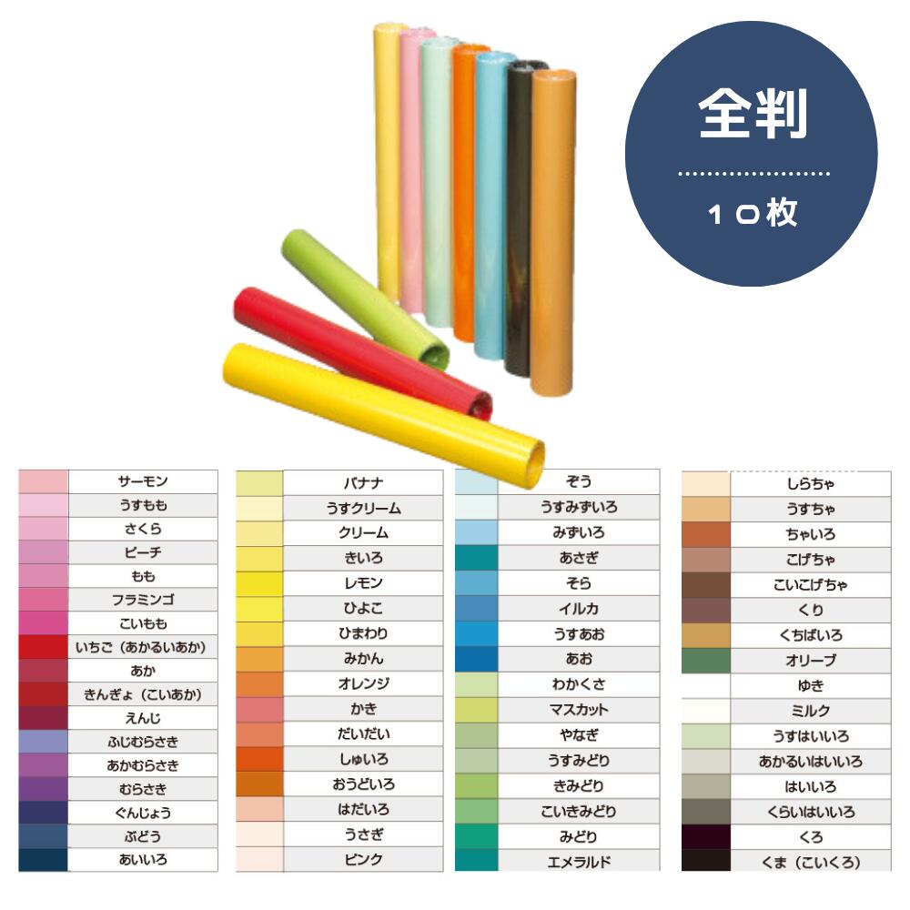 楽天市場】画用紙 色画用紙 フレッシュカラー 全判 10枚【B】単色 大王