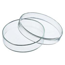楽天市場】ペトリ皿 シャーレ 実験用品 理科 ガラス φ49 φ70 φ90