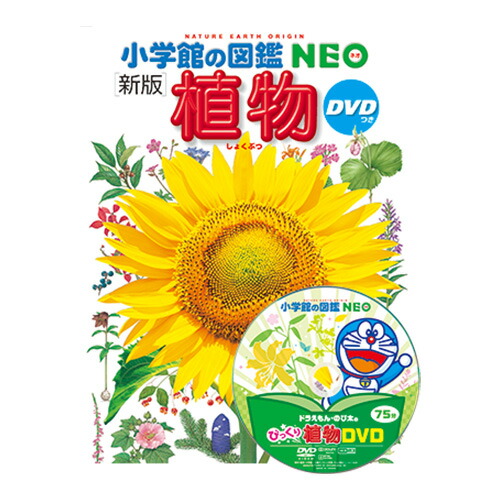 楽天市場】図鑑 小学生 小学館の図鑑NEO [新版］宇宙 : いくるん