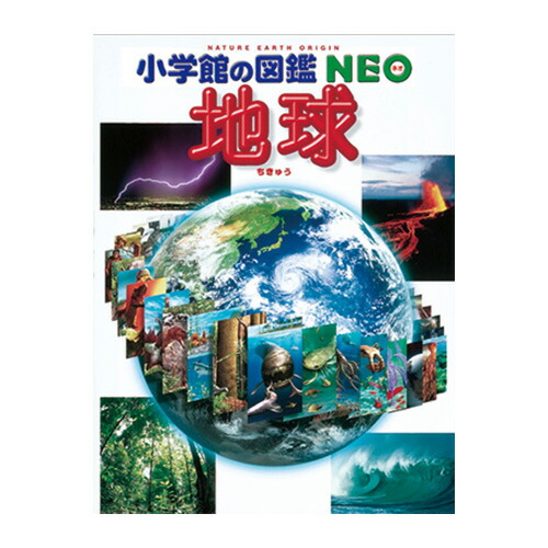 本 図鑑集 小学館 深海シリーズ 深海生物 DVDつき | 小学館の図鑑NEOシリーズ | 小学館