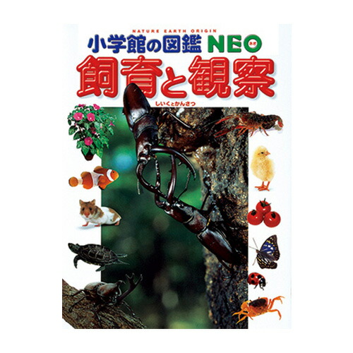 楽天市場】図鑑 小学生 小学館の図鑑NEO 深海生物 : いくるん