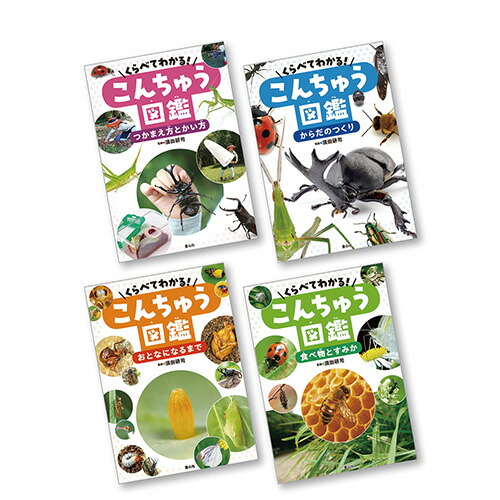 沖縄昆虫野外観察図鑑 2巻・3巻・4巻の三冊 沖縄昆虫野外観察図鑑 2巻・3巻・4巻の三冊 - 昆虫 - 趣味