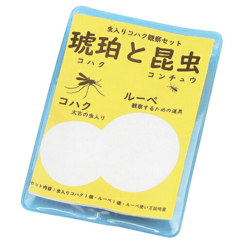 実験 理科 教材 虫入りコハク観察セット 中村理科工業