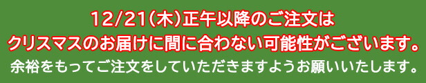 楽天市場】画用紙 整理棚 収納 12段 色画用紙 4ツ切 収納 802708 : い