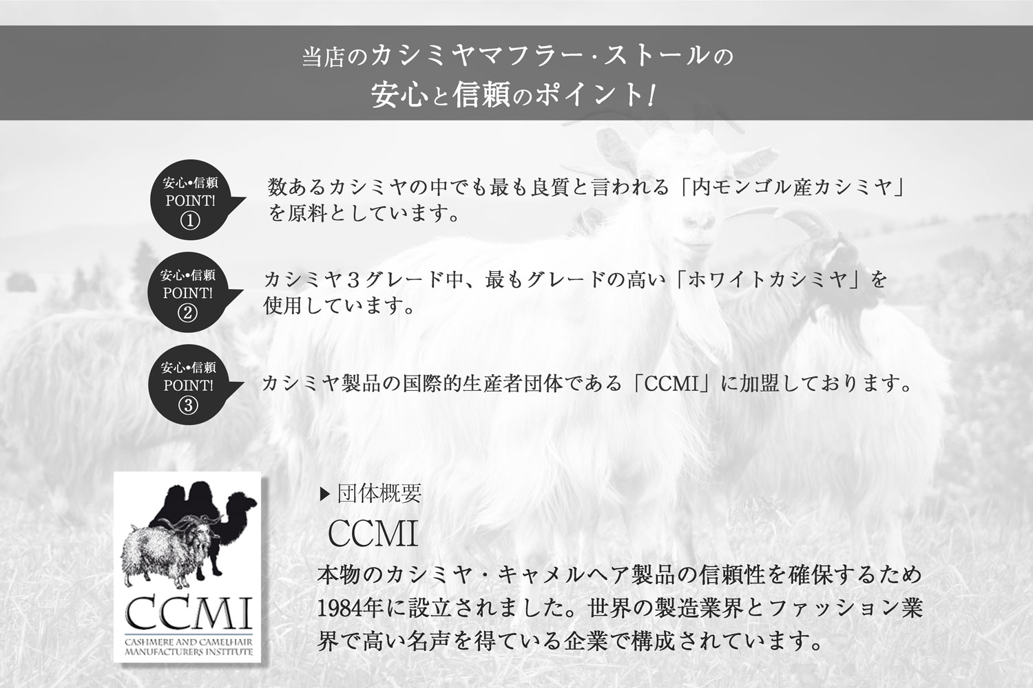 カシミヤ100 ウェーブ仕上げ 大判ストール カシミヤストール ストール レディースストール メンズストール メンズ レディース 男性 女性 無地 秋 三冬 シンプル おしゃれ ブランド 誕生日 クリスマス プレゼント Almarkhiyagallery Com