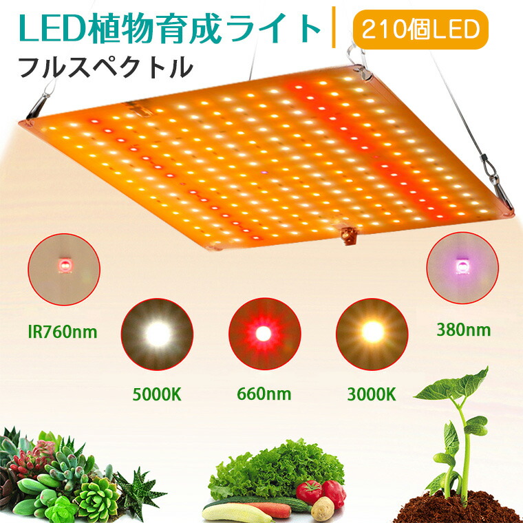 楽天市場】植物育成ライト LED フルスペクトル パネル 室内 太陽光 210