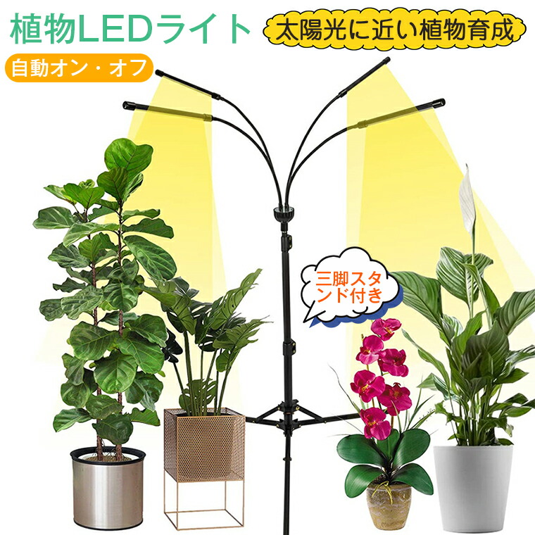 LED植物育成ライト 3個セット　値下げ imgrc0093366341-3.jpg