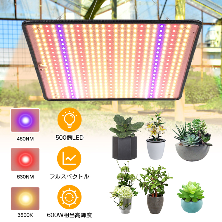 【楽天市場】【P10倍】植物育成ライト LED パネル 500個LED 屋内 