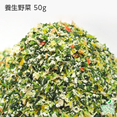 楽天市場 無添加 国産 健康一番570g 手作りごはん 獣医師推奨 ドッグフード ペットフード キャットフード 犬用 ペット 犬 猫 パピー シニア 老犬 子猫 子犬 Dog 小型犬 大型犬 トイプードル ダイエット ウェット プライムケイズ 手作り イリオスマイル 犬用自然派