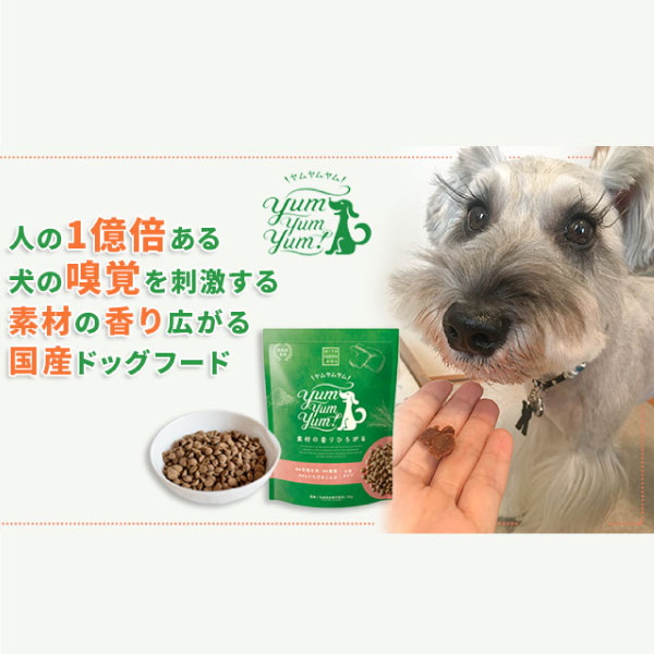 最高 50 しいたけ 犬の匂い