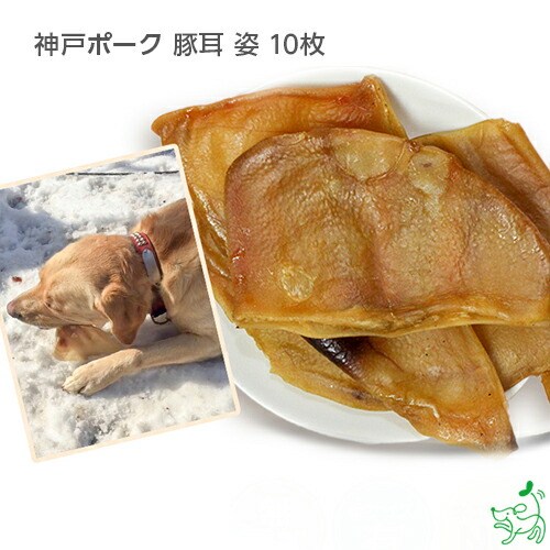 大袋単品】豚耳細切り500g 犬のおやつ 無添加 HAVEPET 犬用品