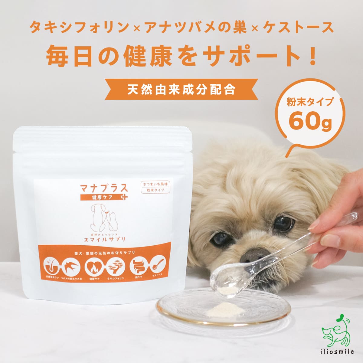 楽天市場】ミラネストシャンプーFOR DOG & CAT 犬 猫 シャンプー 犬用