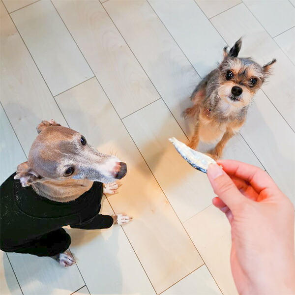 市場 国産 ママカリ煮干し おやつ 無添加 魚 犬 鳥取産 デンタルケア アレルギー 犬用 100g